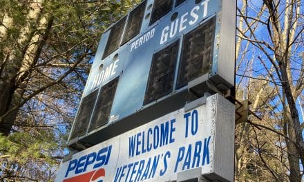 Street-hockey rink demo part of major park renovations