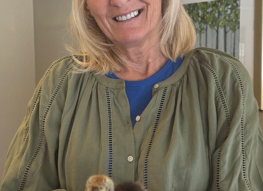 Chicks bring ‘absolute joy’ to Methuen Village
