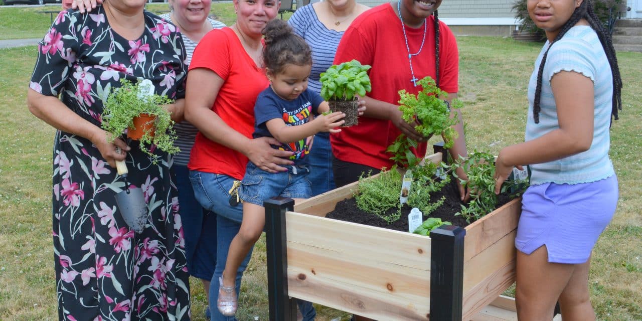 JFK COMMUNITY GARDEN