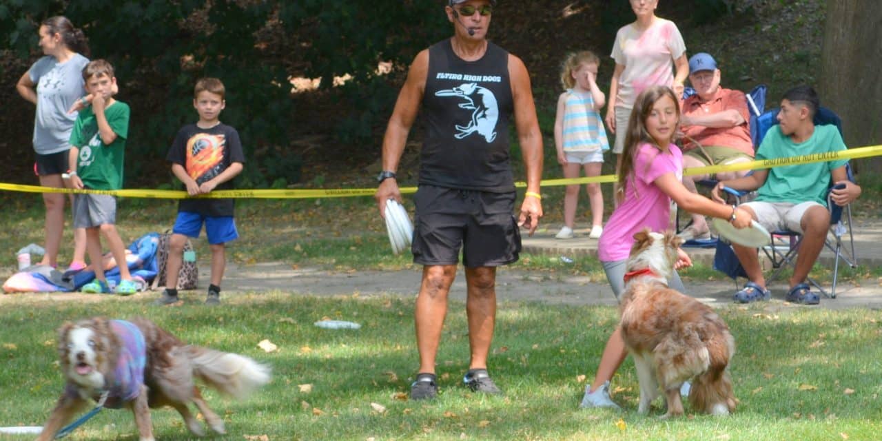 Frisbee Dogs zip, zoom & leap to make the catch!