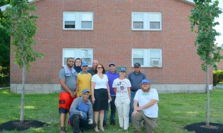 9 new trees, thanks to Groundwork Lawrence
