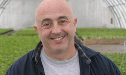 Bonanno is key collaborator with new role across South