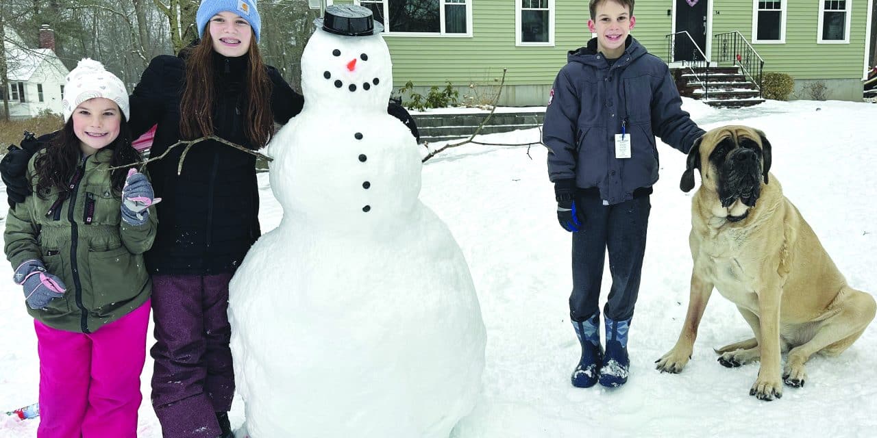 When life provides precipitation, make snowmen!