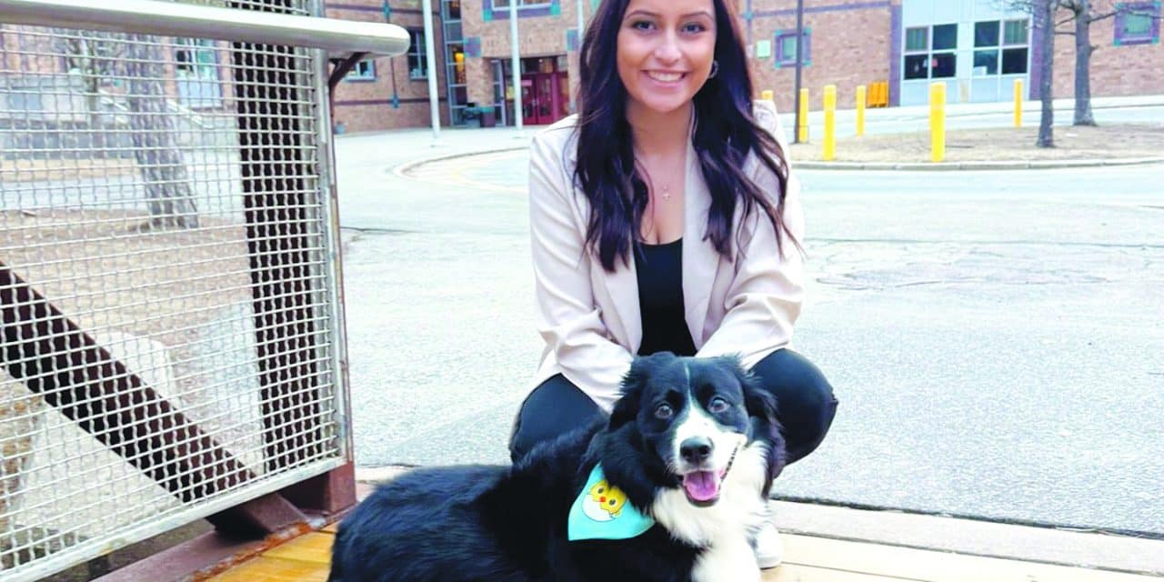 Teacher’s loyal, sweet Border Collie named city’s Top Dog!