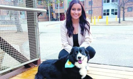 Teacher’s loyal, sweet Border Collie named city’s Top Dog!