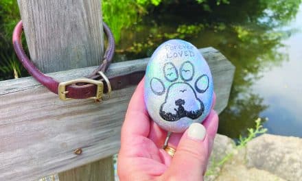 Rainbow Bridge for departed pets opens along Rail Trail