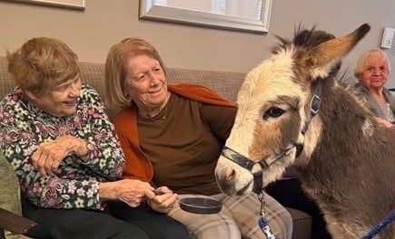 Seniors smitten with adorable farm animals