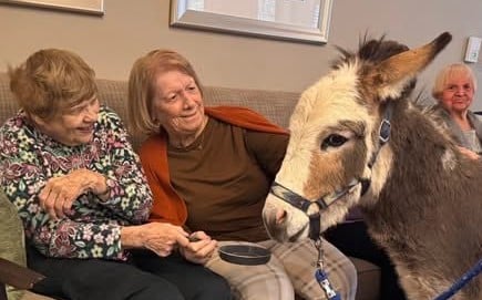 Seniors smitten with adorable farm animals
