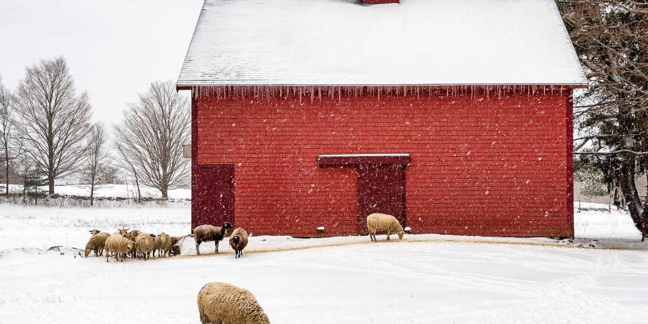 Weathering the changing seasons of the photo industry