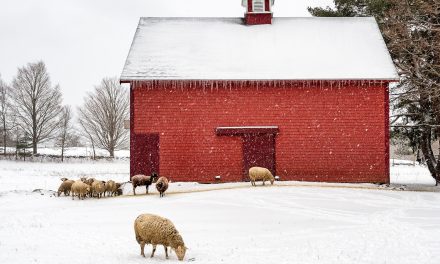 Weathering the changing seasons of the photo industry