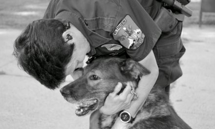 Honoring & remembering K-9 Kilo