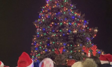 City tree is lit accompanied by song & community spirit