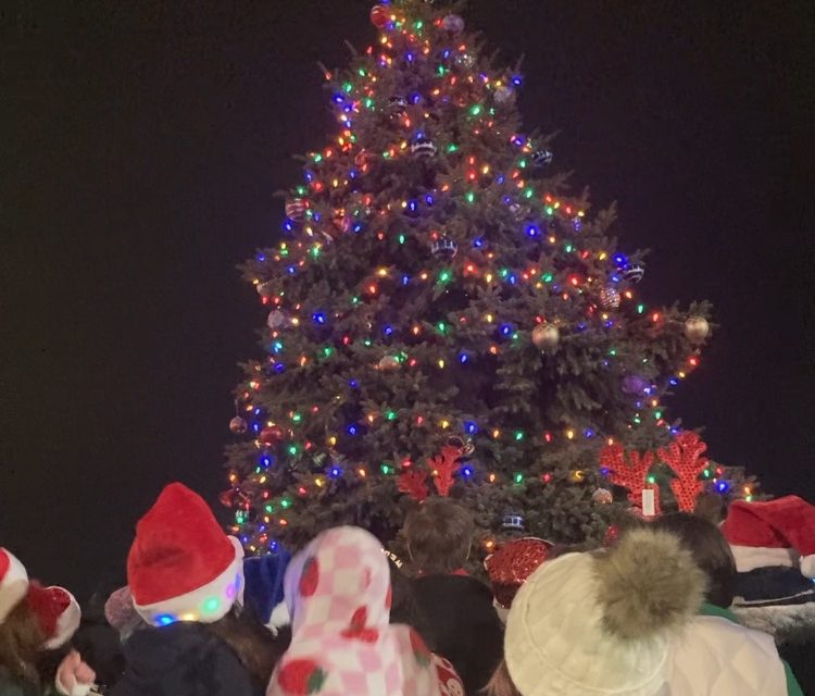 City tree is lit accompanied by song & community spirit