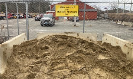 Free sand/salt mix