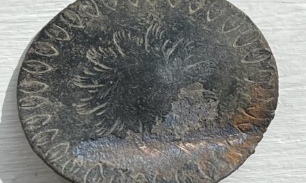 METAL DETECTIVES Finding a Colonial-era button makes life Dandy!
