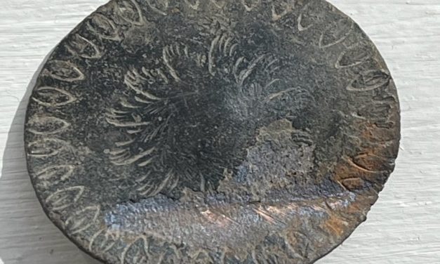 METAL DETECTIVES Finding a Colonial-era button makes life Dandy!