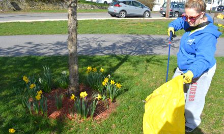 Earth Day Cleanups net hundreds of bags of trash