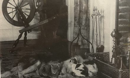 Pal’s Pine Lodge photo reveals relaxing pets